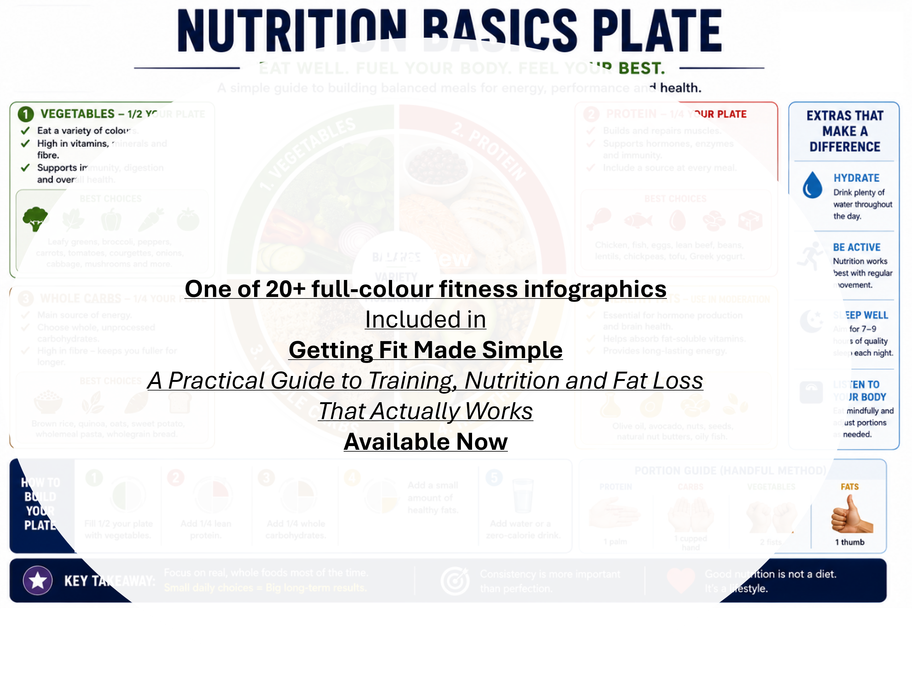 Nutrition Basics Plate showing balanced portions of protein, carbohydrates, and healthy fats.