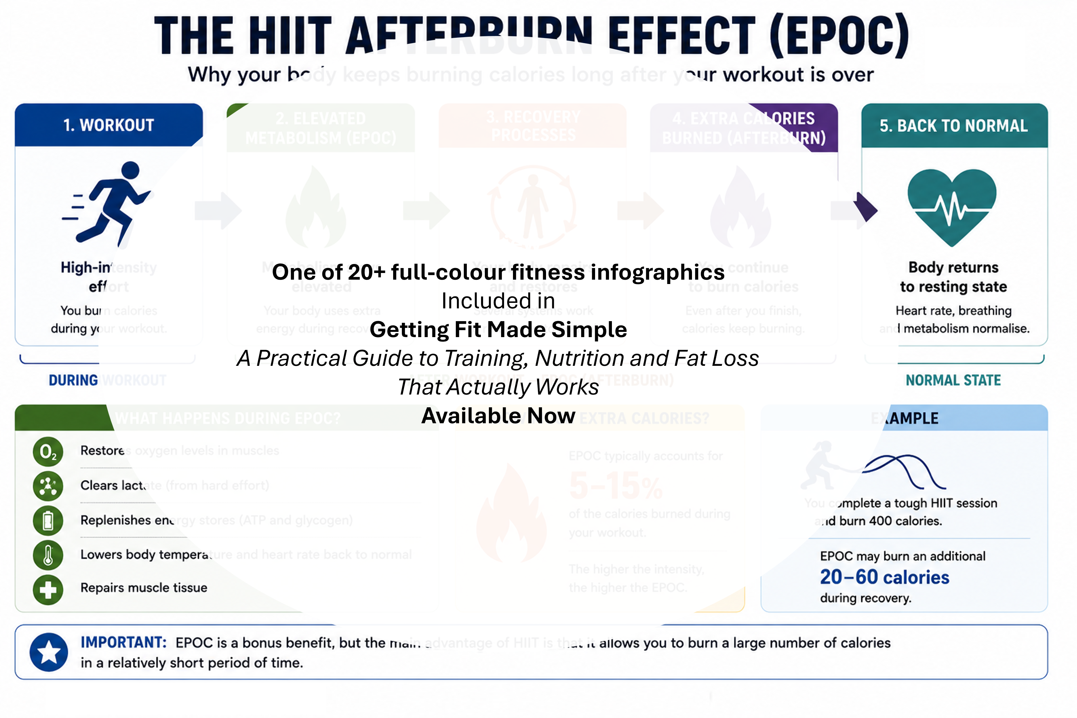Afterburn Effect diagram showing increased calorie expenditure during recovery after HIIT exercise.